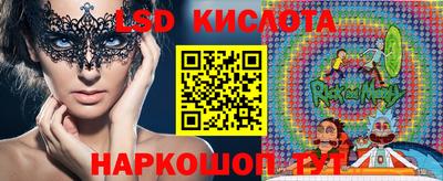 спайс Донской