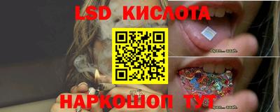 стаф Донецк